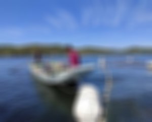 可穿戴设备不好卖了， Apple Watch 依旧一枝独秀